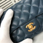 Designer Handbags CL 116