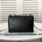 Designer Handbags CL 100