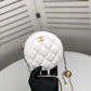 Designer Handbags CL 229