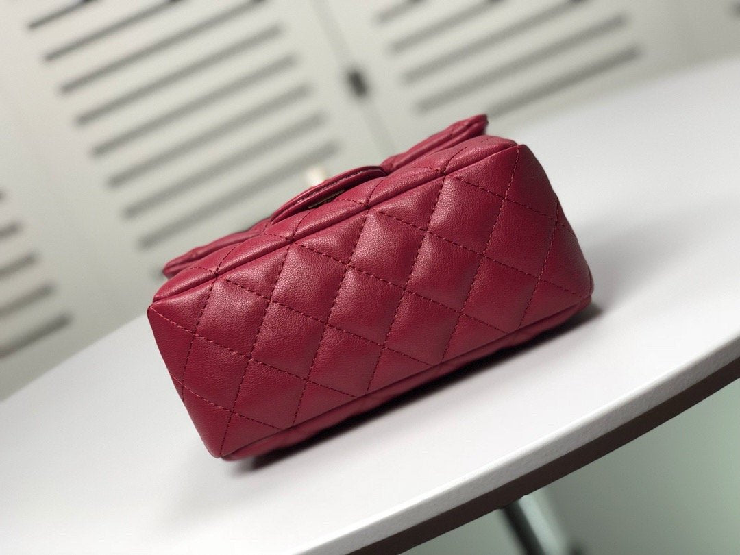 Designer Handbags CL 117