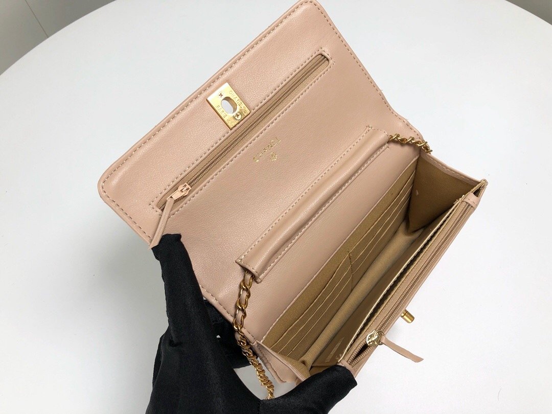 Designer Handbags CL 080