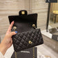 Designer Handbags CL 248