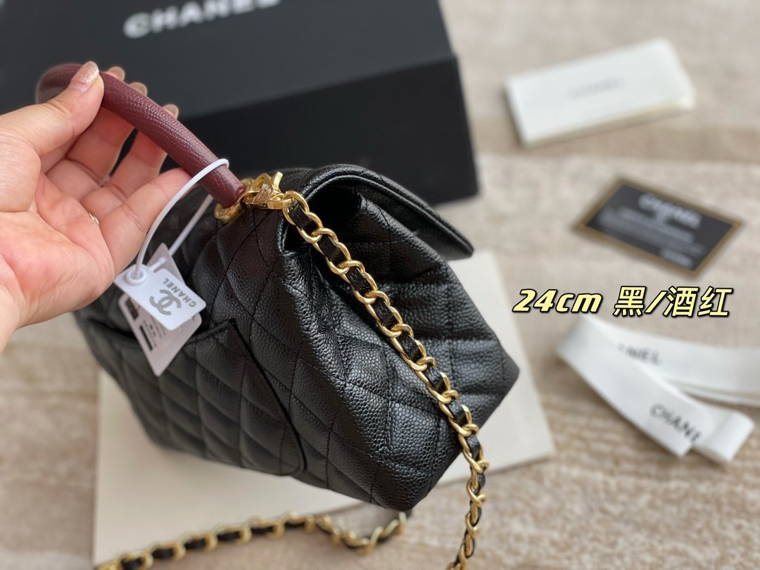 Designer Handbags CL 252