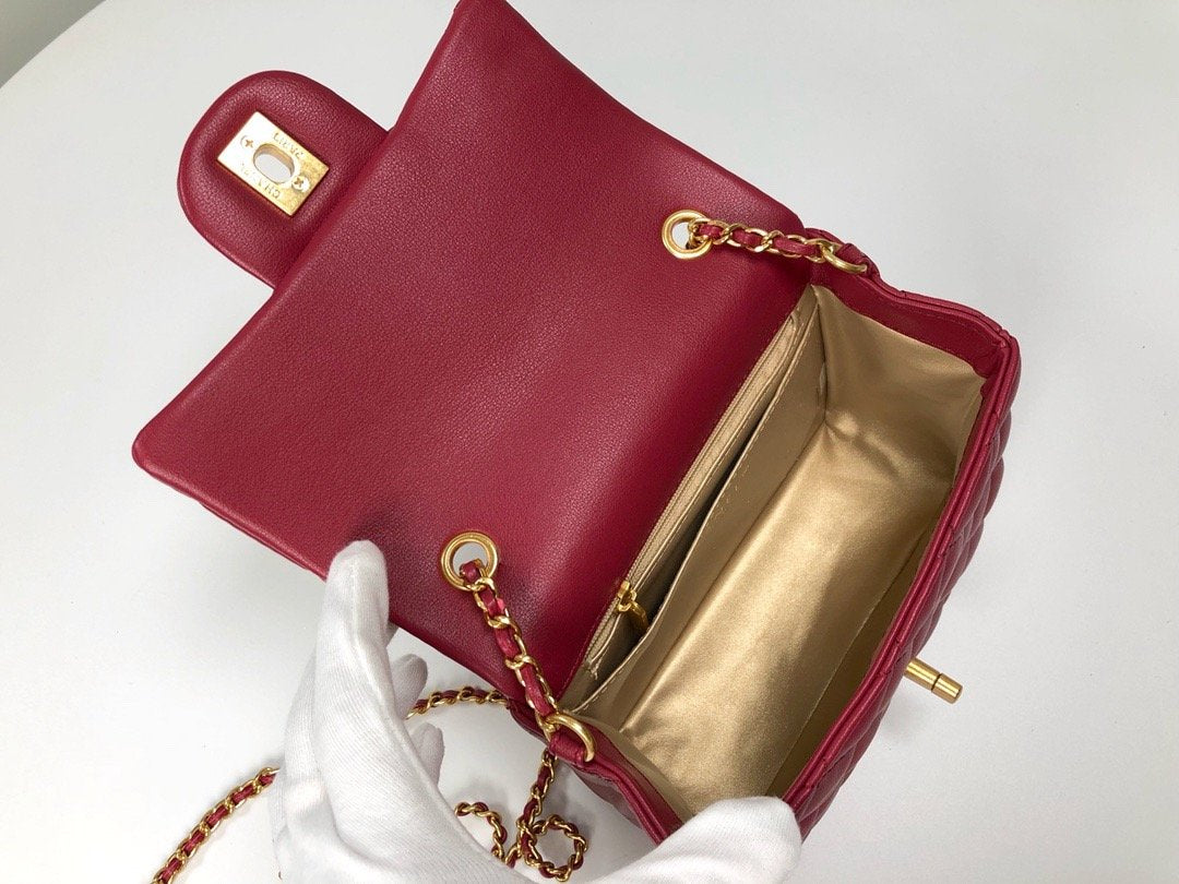 Designer Handbags CL 117