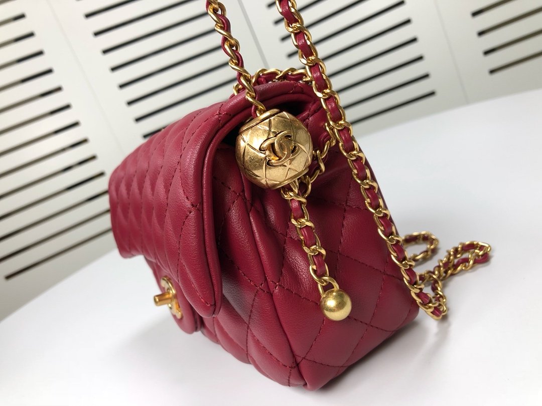 Designer Handbags CL 224