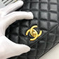 Designer Handbags CL 218