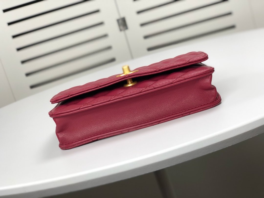 Designer Handbags CL 220