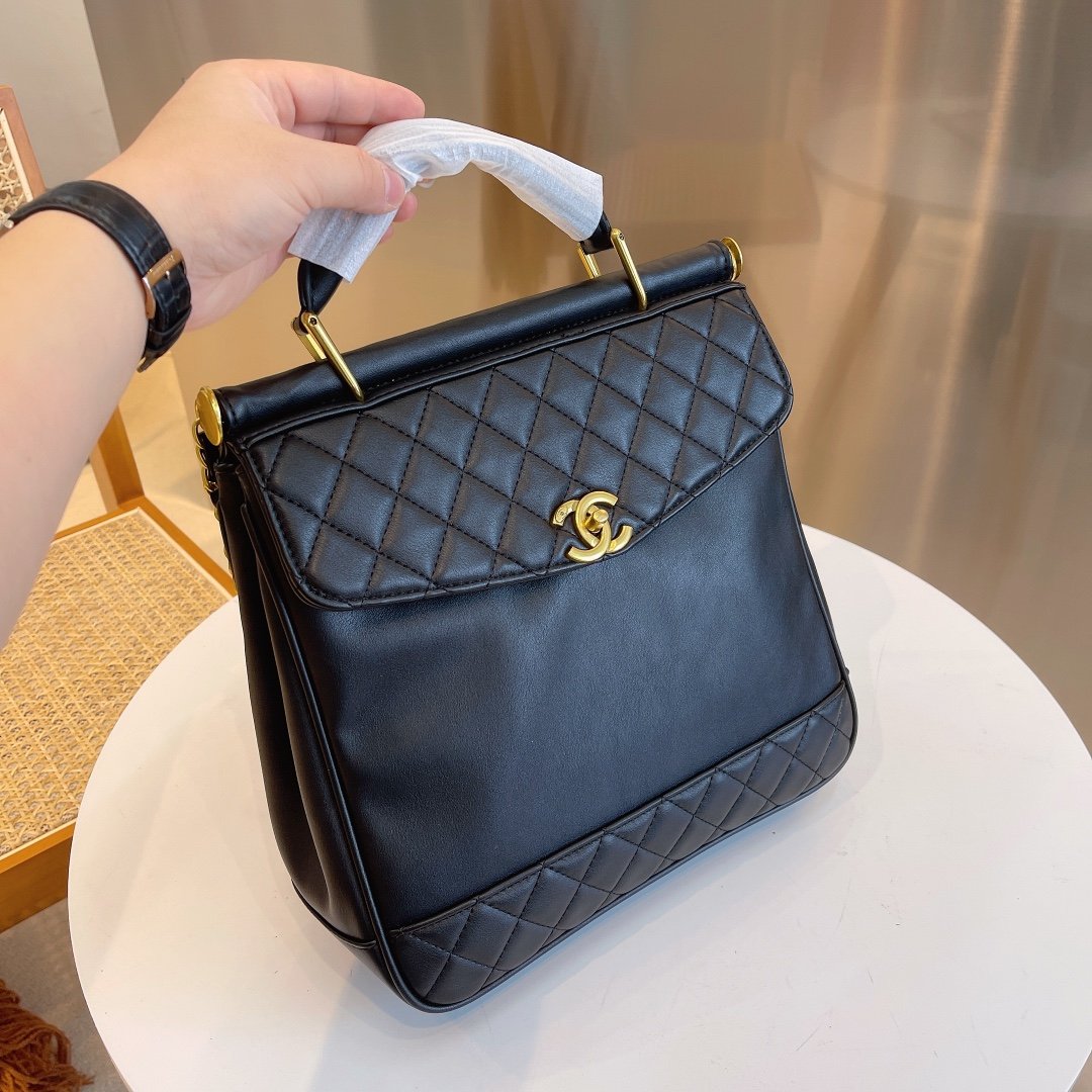 Designer Handbags CL 251